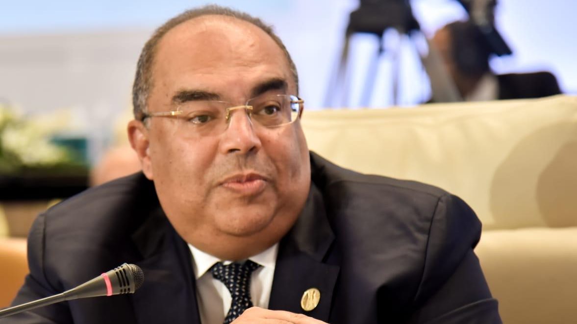 الدكتور محمود محيي الدين