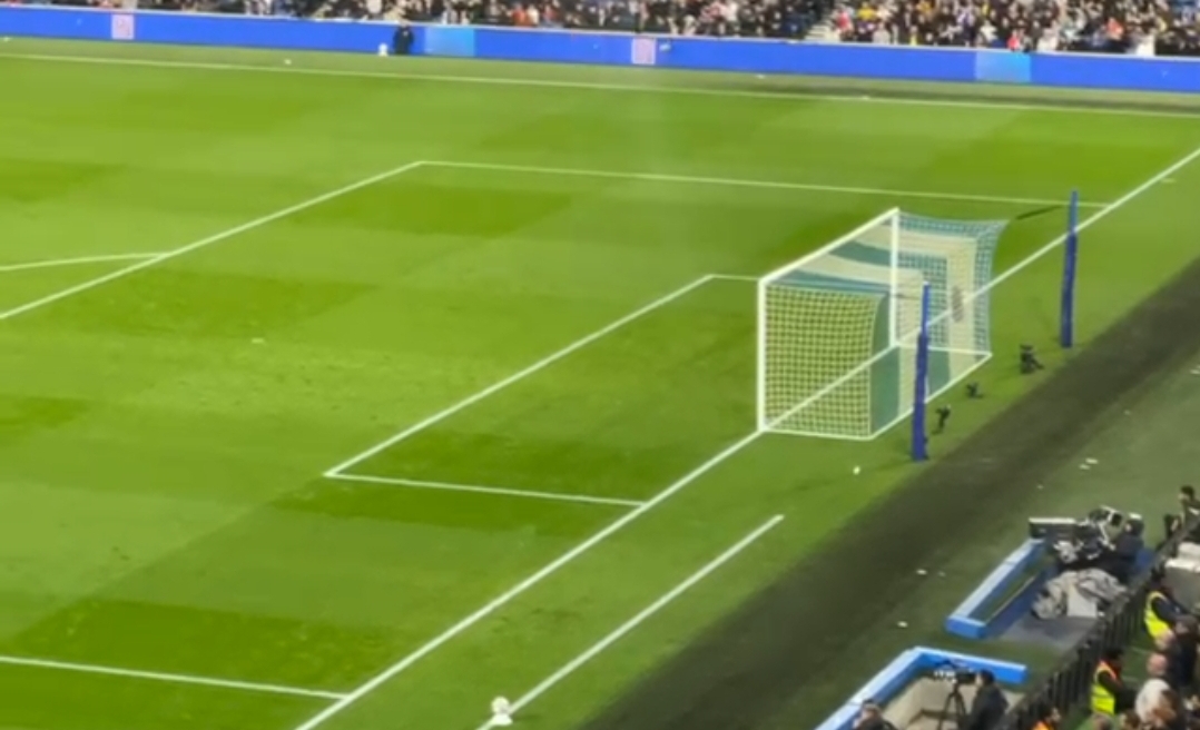 صورة من الحملة 