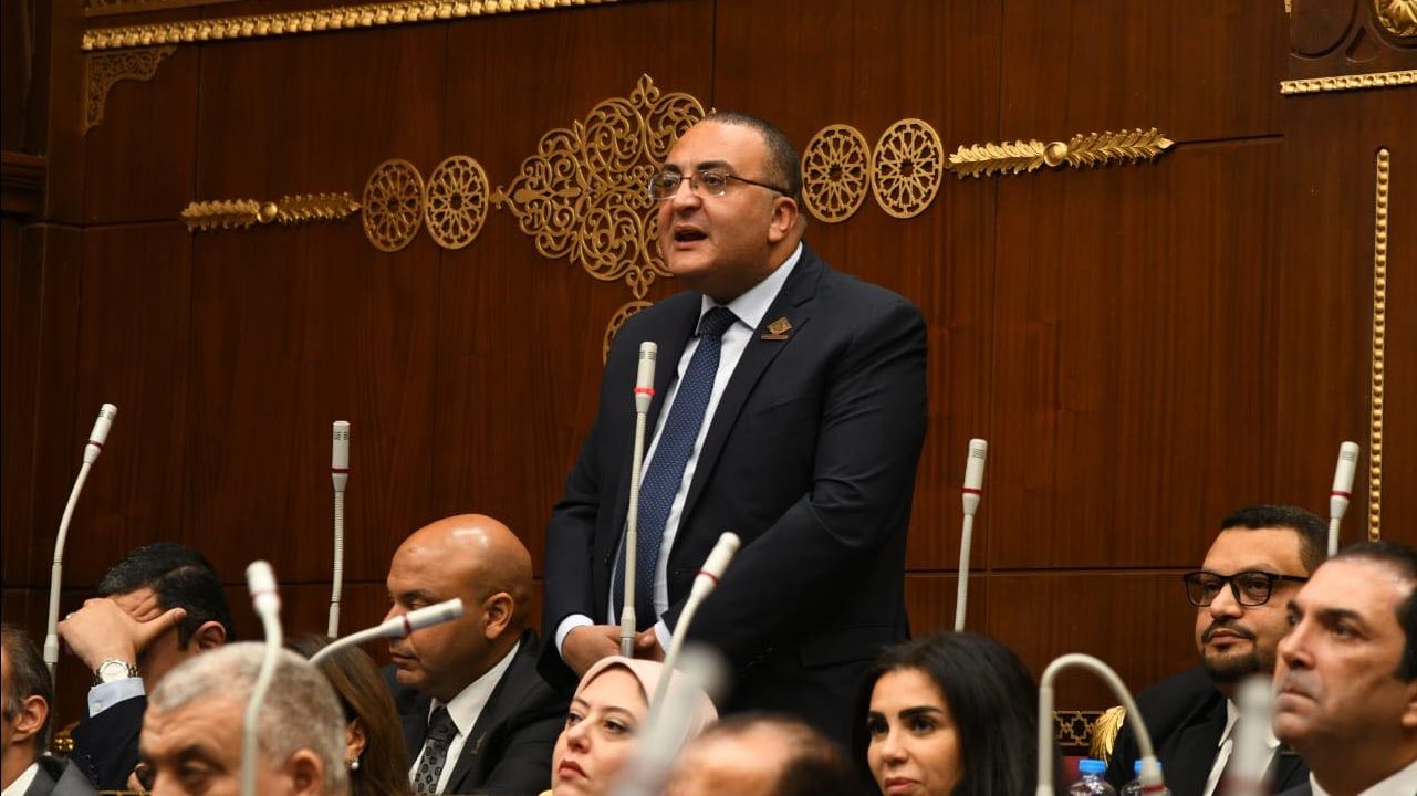 النائب عمرو عزت حجاج، عضو مجلس الشيوخ