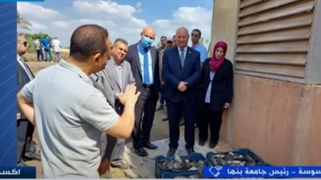 رئيس جامعة بنها