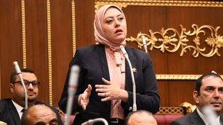 نائبة التنسيقية نهى زكي