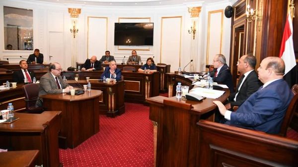 خلال اجتماع  لجنة الصحة والسكان بمجلس الشيوخ