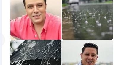 اخبار التوك شو