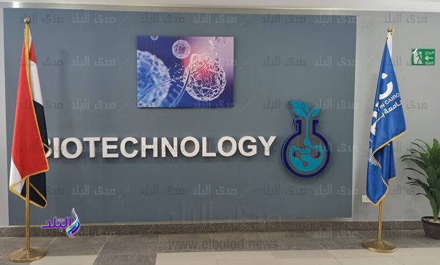 جامعة بدر فى القاهرة 