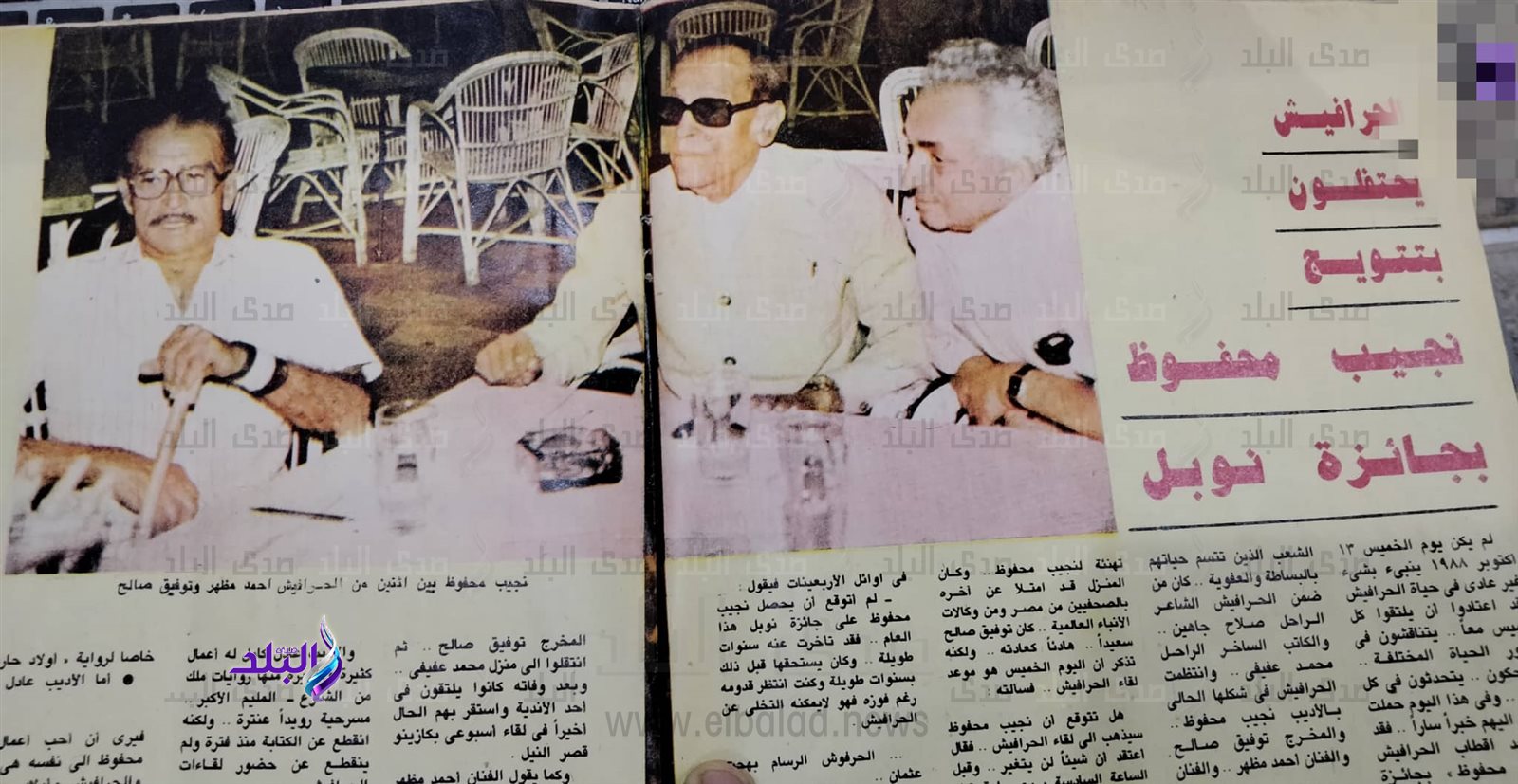 311241196_524264582869681_9186095260261075516_n