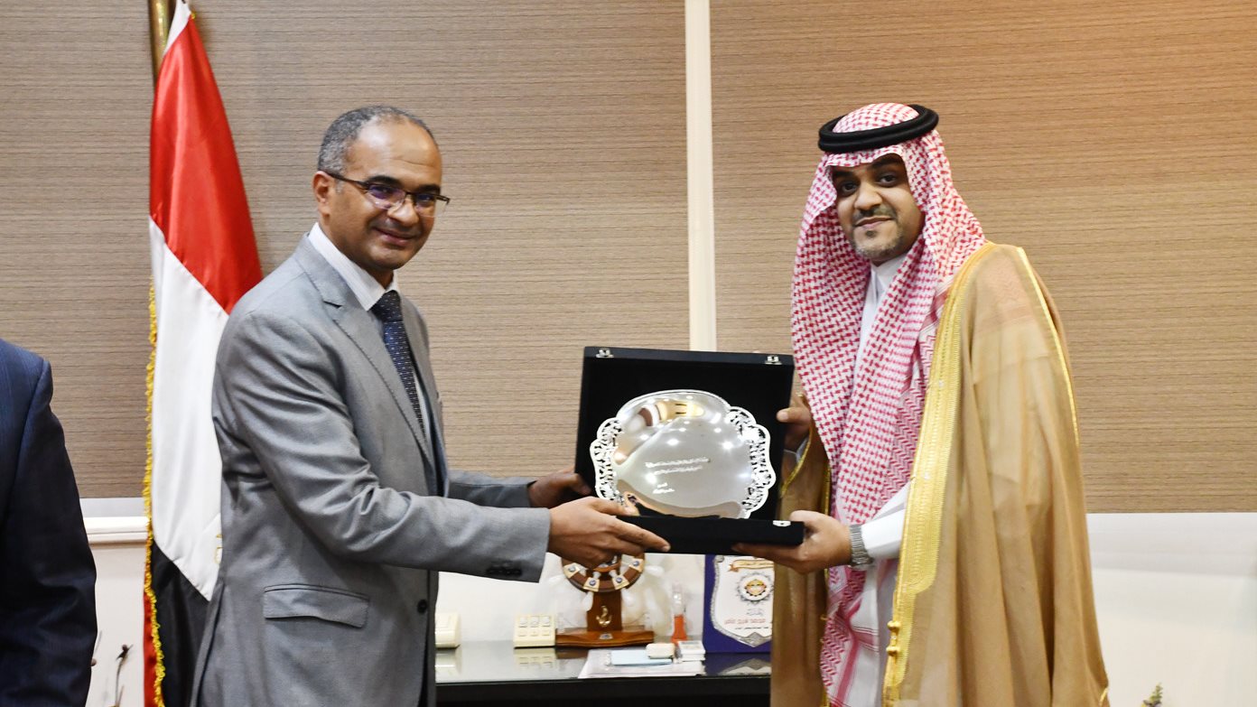 لقاءات مصرية سعودية