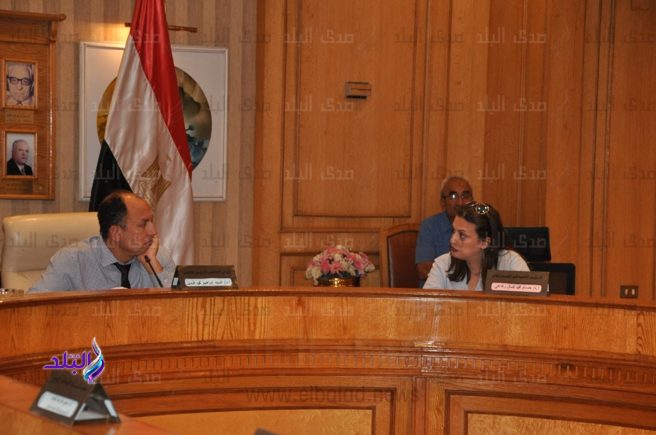 جامعة حلوان