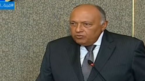سامح شكرى وزير الخارجية