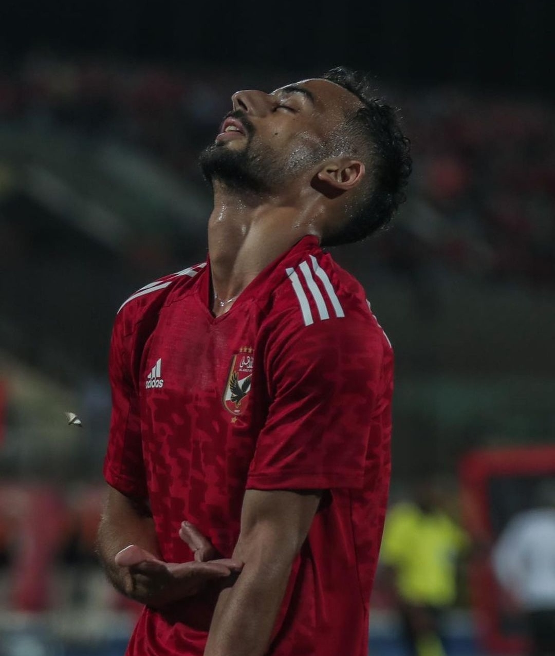 IMG_٢٠٢٢١٠١٥_٢٢١١٤٣