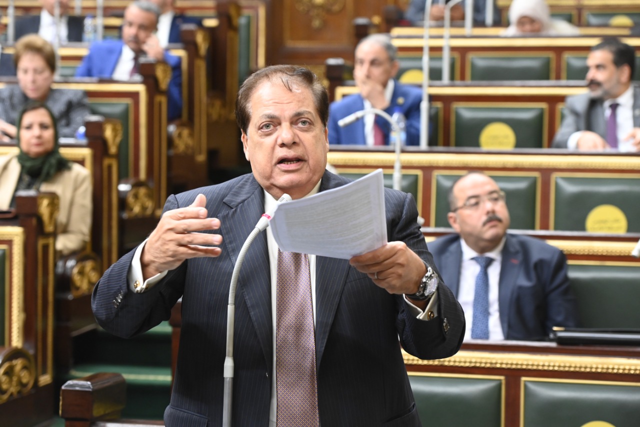 النائب محمد أبو العينين وكيل مجلس النواب