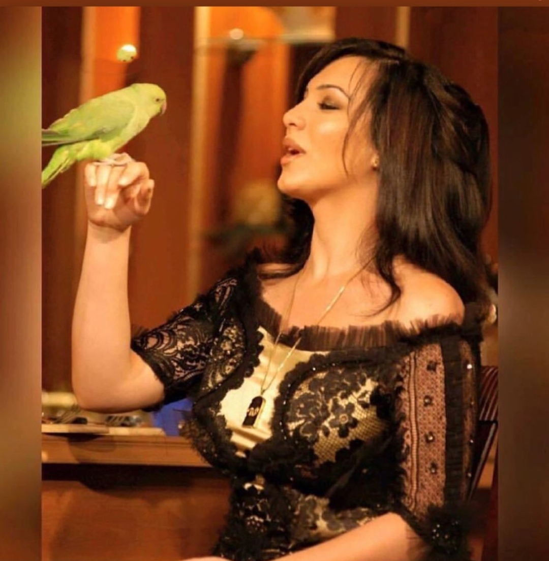 IMG_٢٠٢٢١٠١٦_١٤١٣١٣