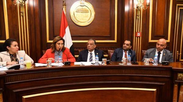  نيفين كيلاني ، وزيرة الثقافة 