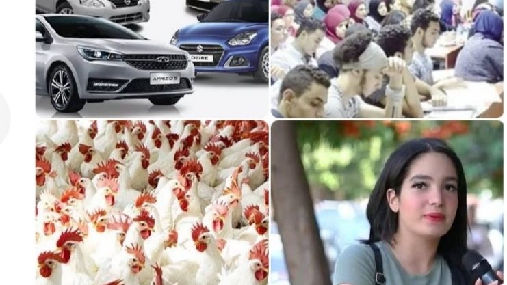 اخبار التوك شو 