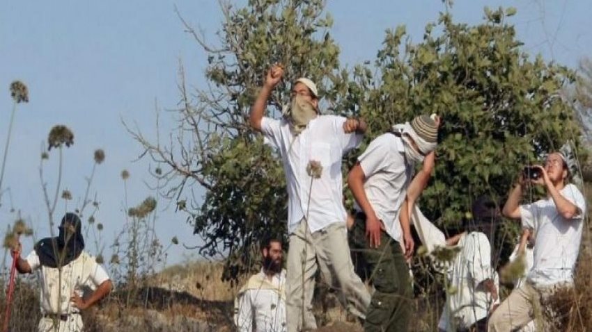 حادث غير عادي.. إسرائيليون يهاجمون كتيبة بالجيش بالحجارة 