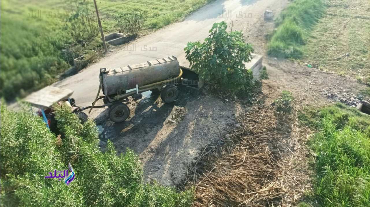 البيارة