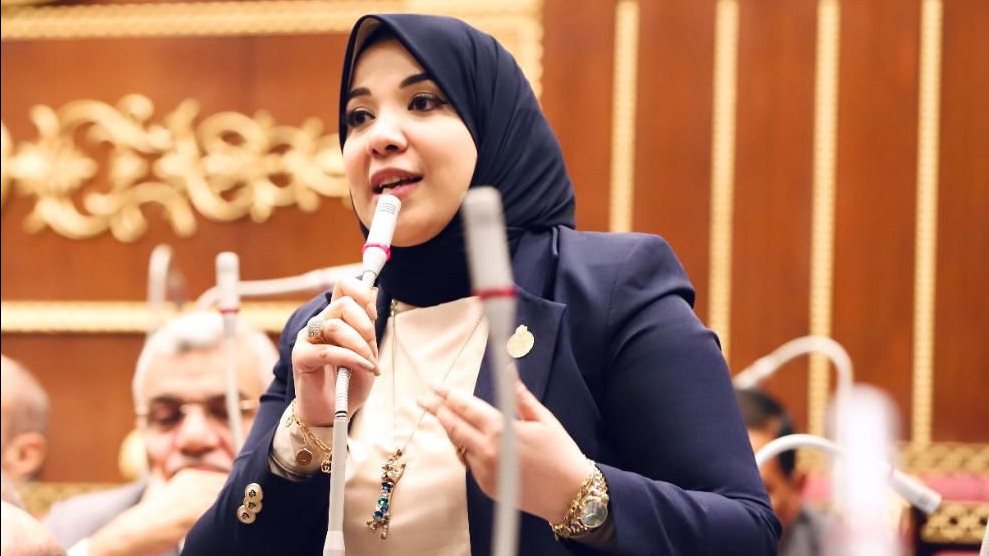 الدكتورة دينا هلالي ، عضو مجلس الشيوخ الدكتورة دينا هلالي ، عضو مجلس الشيوخ