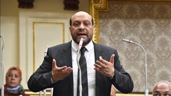  النائب محمود الشامى عضو مجلس النواب