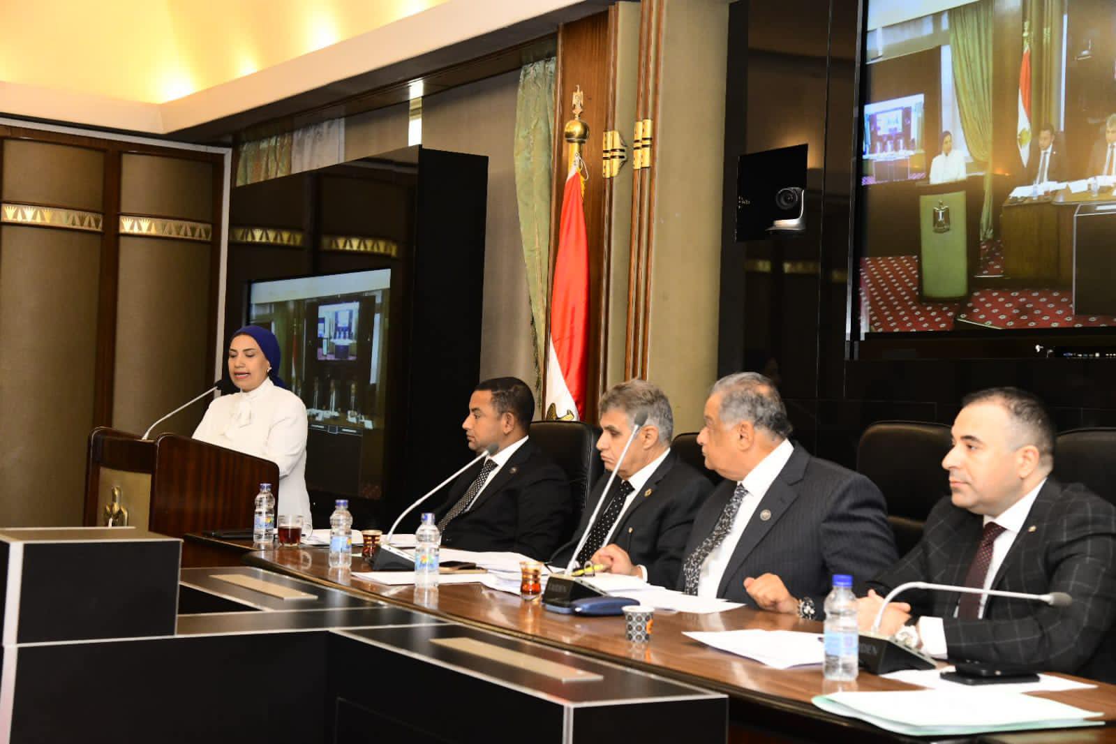  لجنة الشئون الدستورية و التشريعية