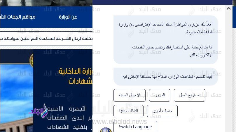 خدمة الرد الالى