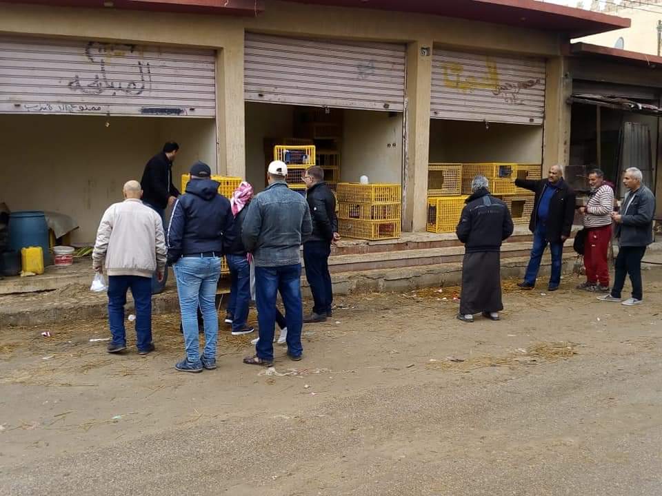 محلات تجارية بنظام حق الانتفاع في سيناء 