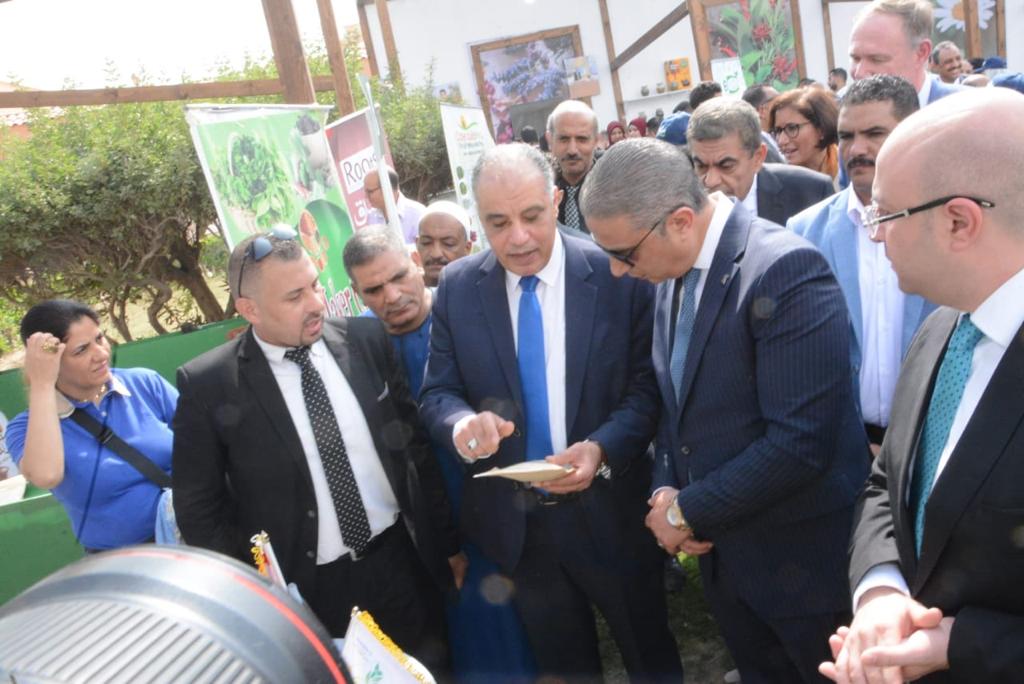 مهرجان النباتات