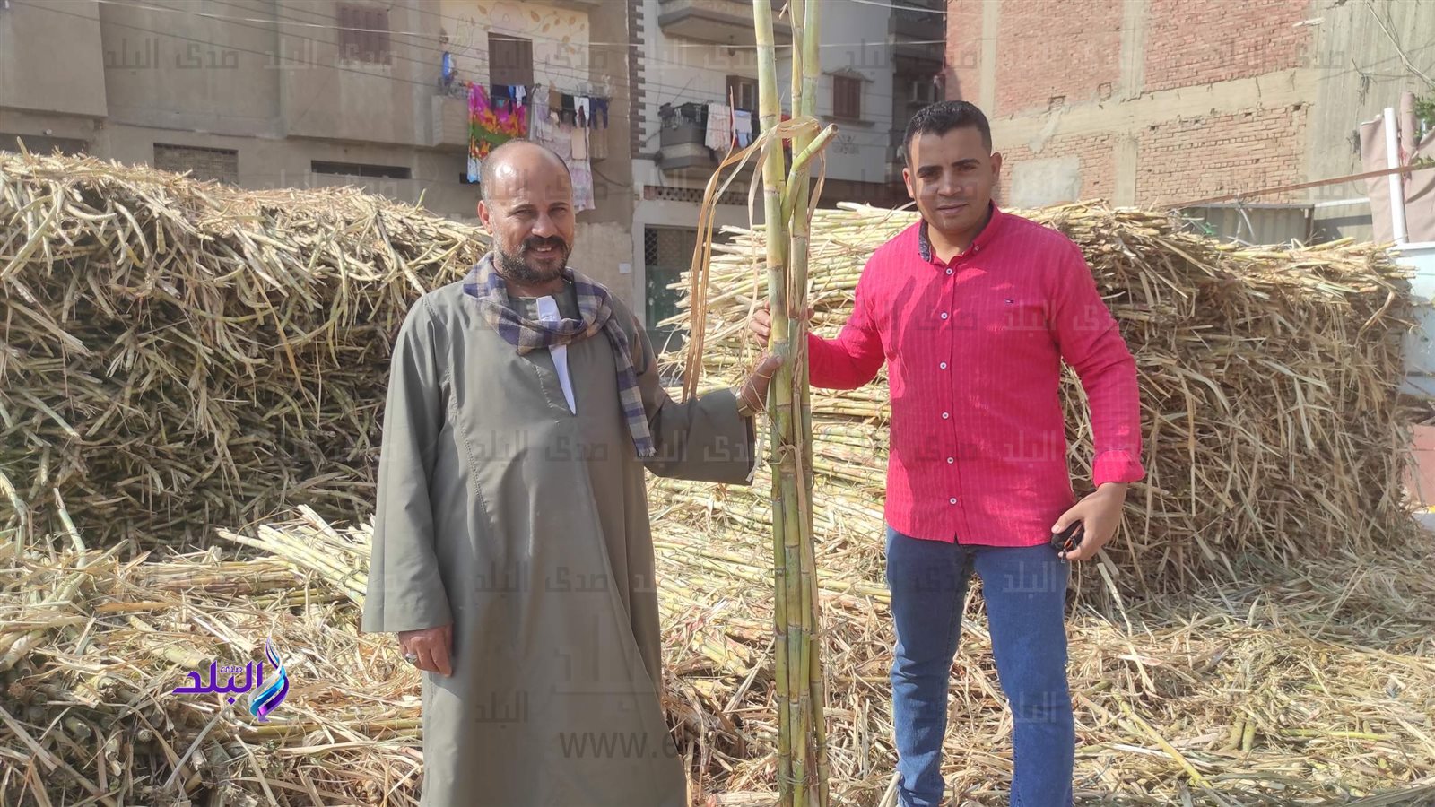 محرر موقع صدي البلد رفقة تاجر القصب