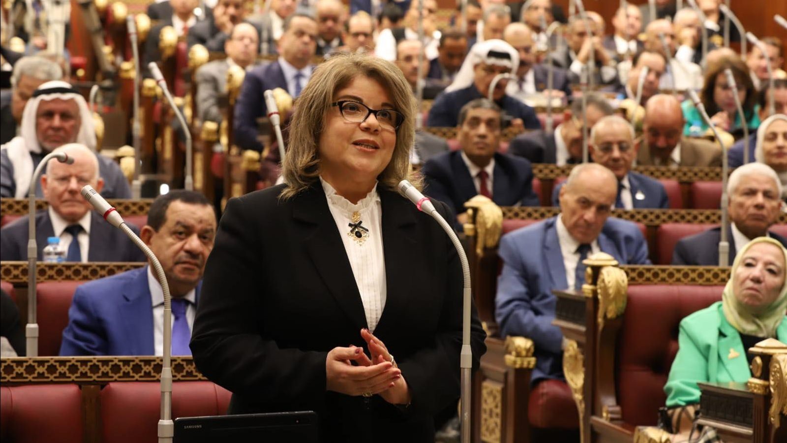  النائبة فيبي فوزي وكيل مجلس الشيوخ