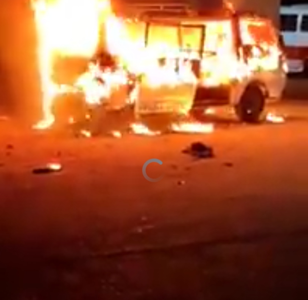 IMG_٢٠٢٢١٠٣١_٢٣٥١٣٠