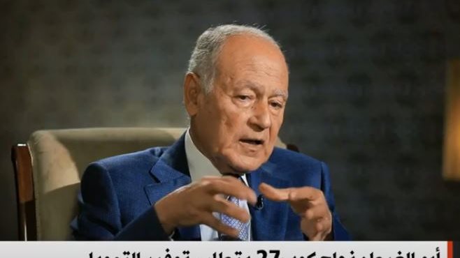 أحمد أبو الغيط