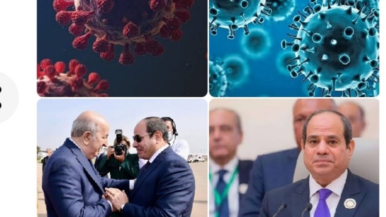 اخبار التوك شو 