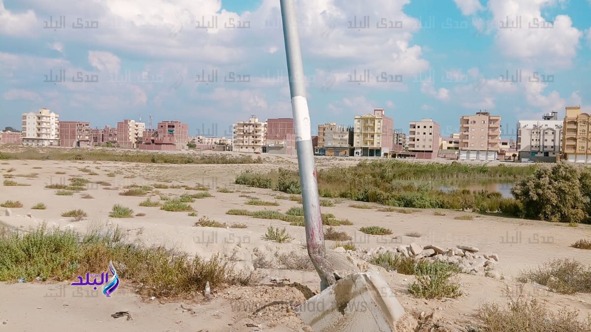 صورة من مكان الحادث 