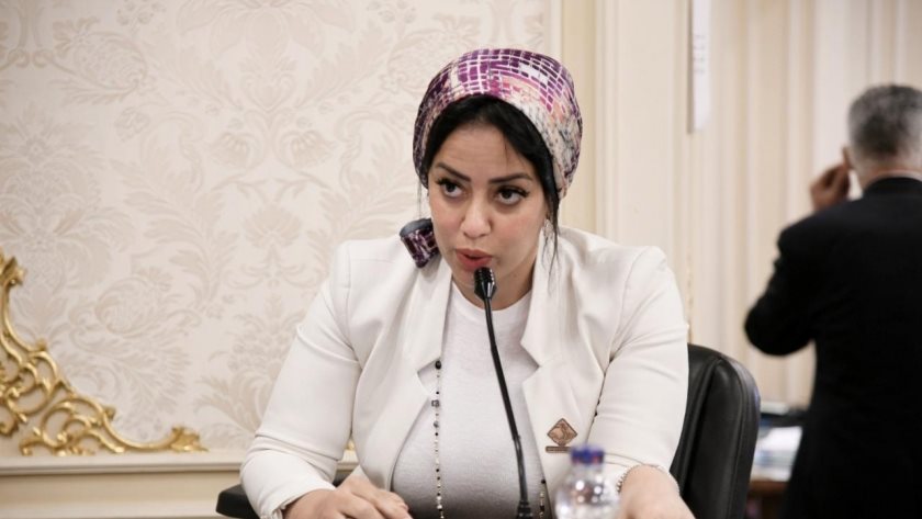  رشا كليب عضو مجلس النواب