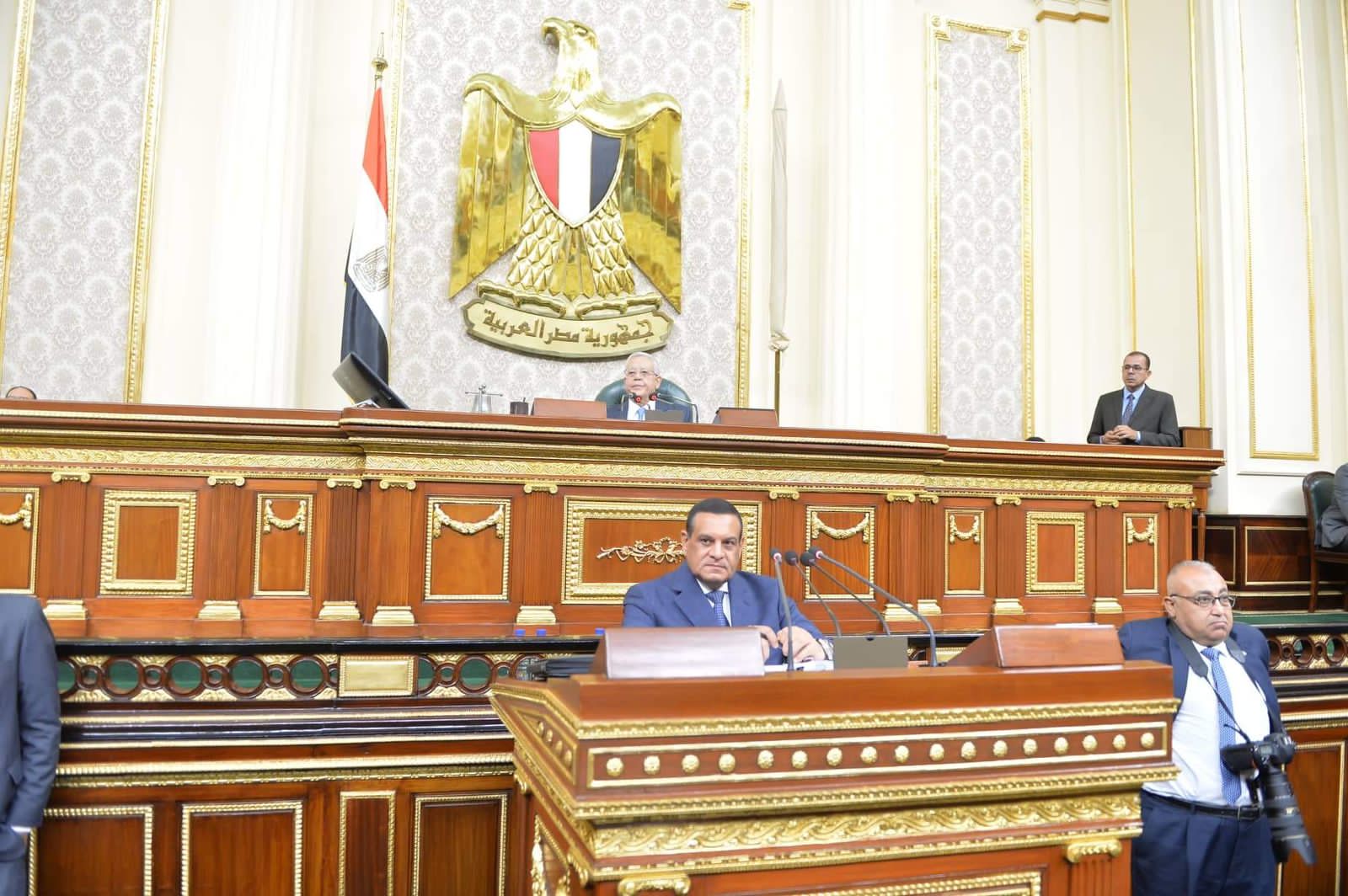وزير التنمية المحلية 