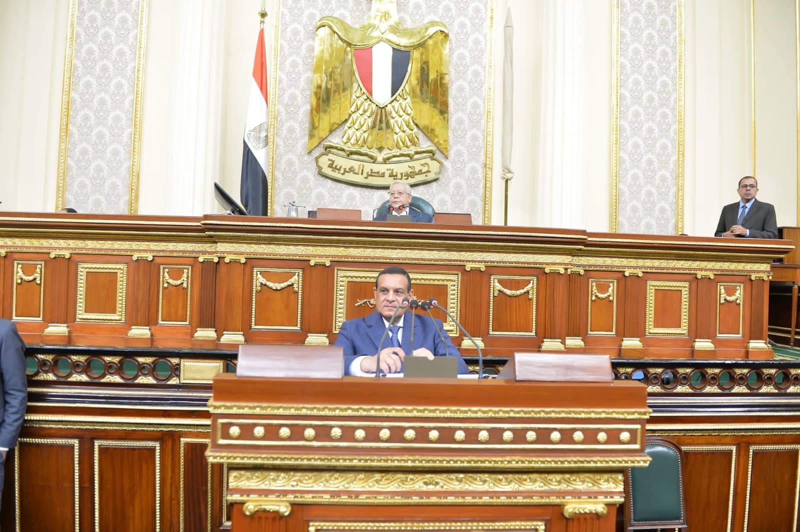 وزير التنمية المحلية 