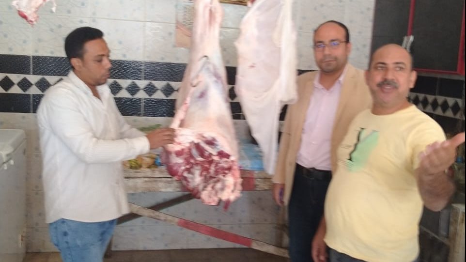 صوره من الحملات