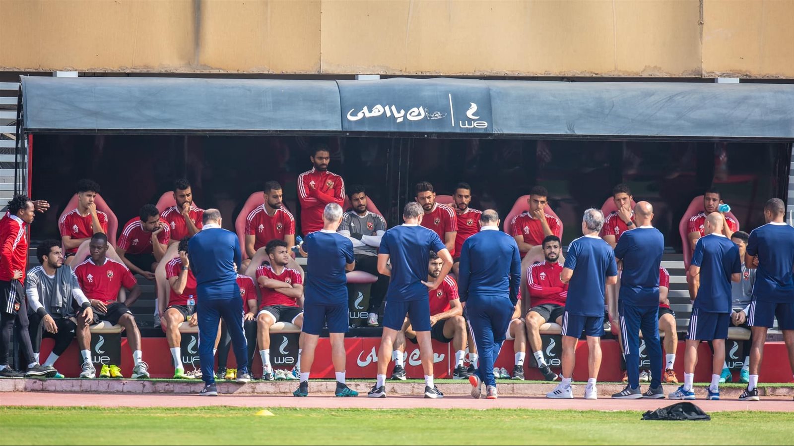 الاهلي 