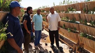 جانب من زراعة اسطح المدارس 