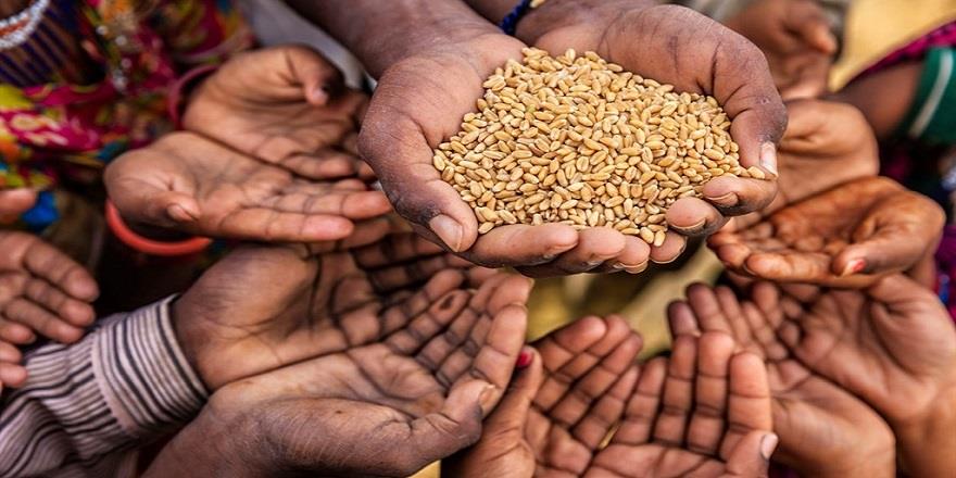 الأمن الغذائي 