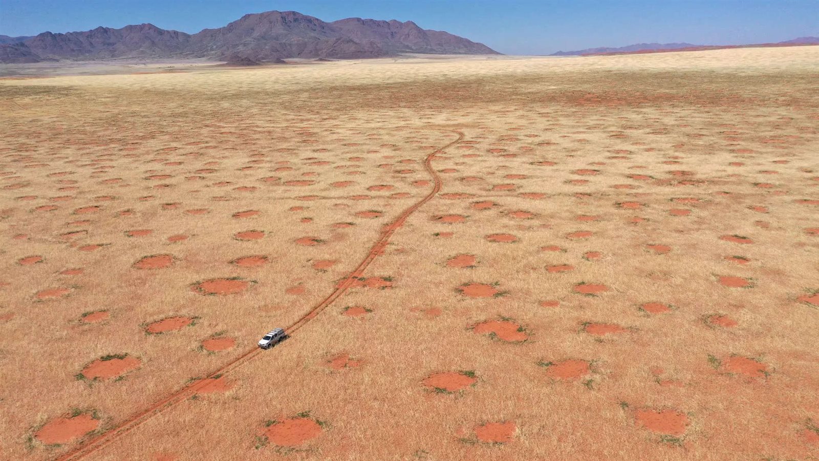 الدوائر الخيالية صحراء ناميبيا 