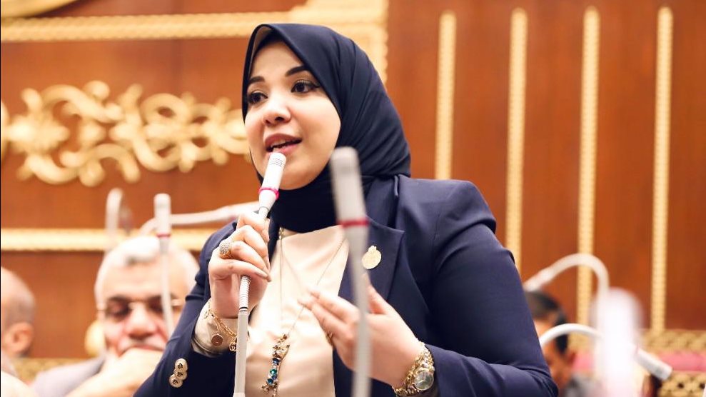  الدكتورة دينا هلالي، عضو مجلس الشيوخ