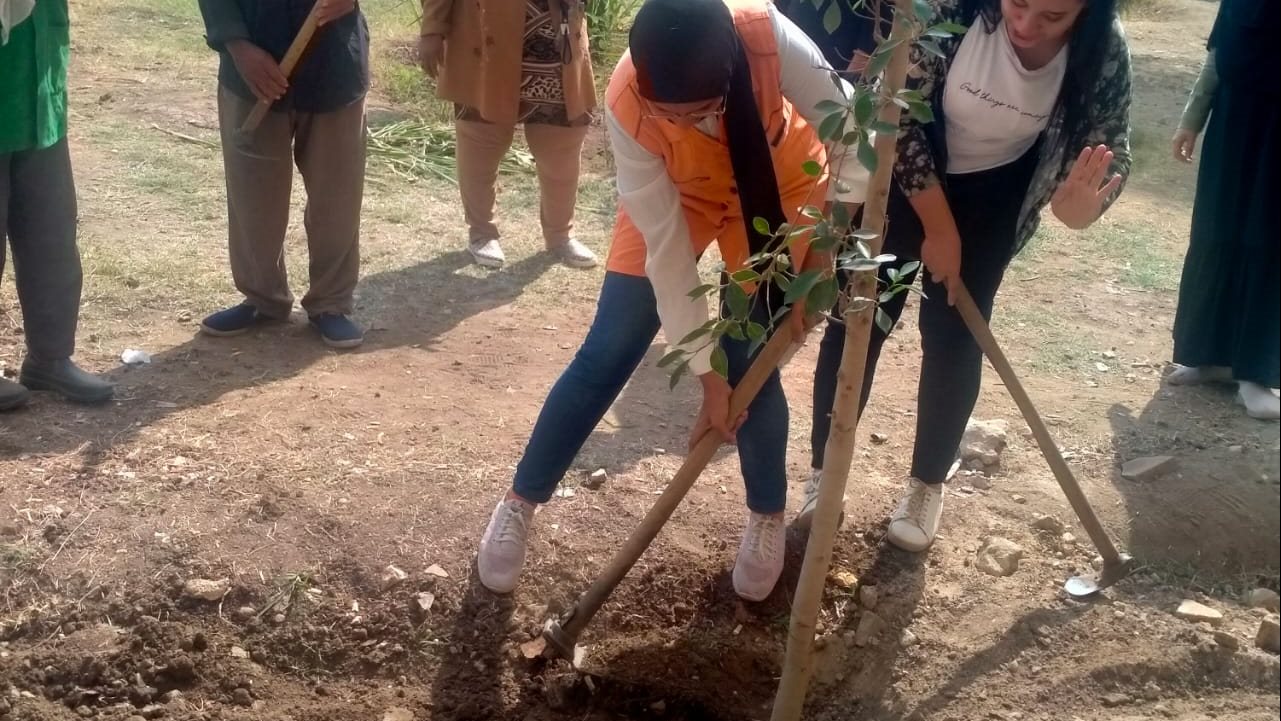 جامعة حلوان