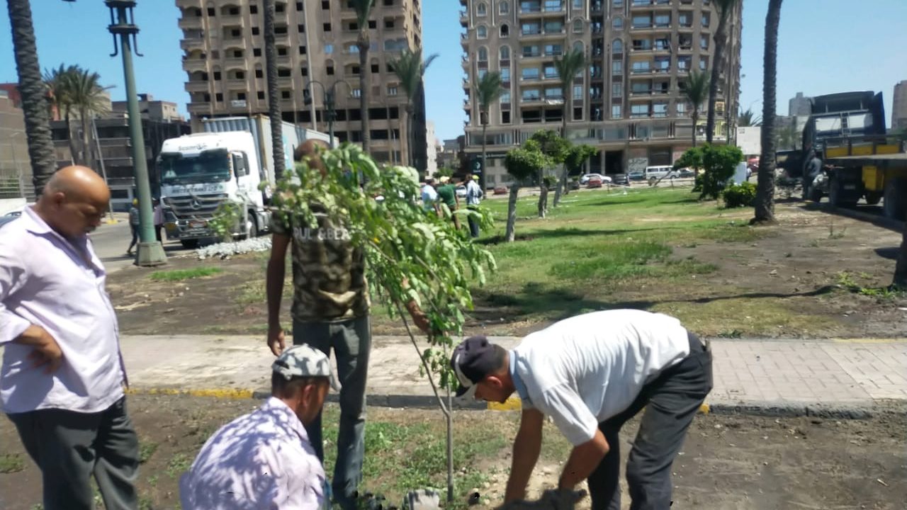 مبادرة 100 مليون شجرة بالإسكندرية