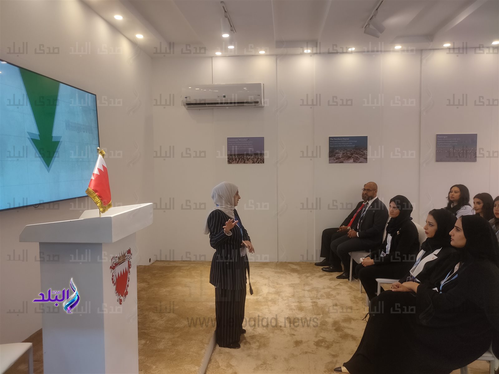 وفد دولة البحرين 