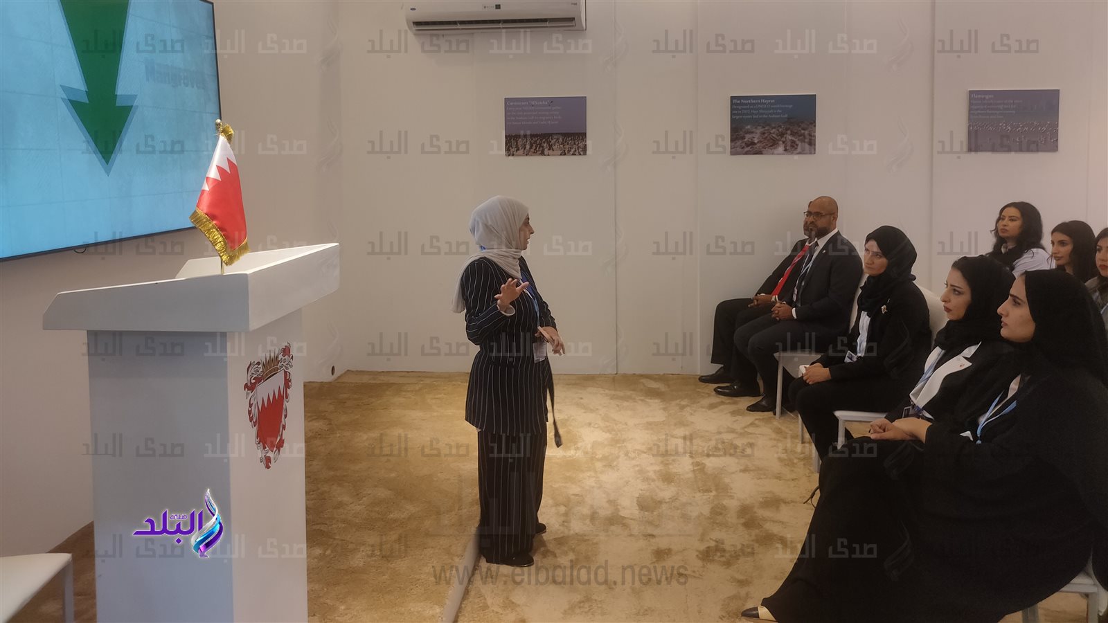 وفد دولة البحرين 