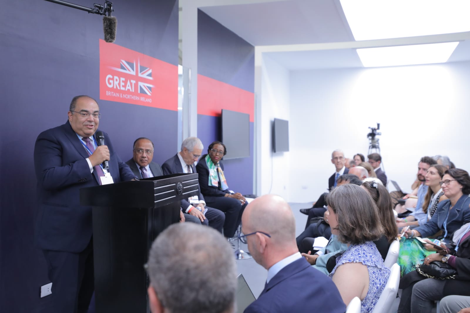 محمود محيي الدين