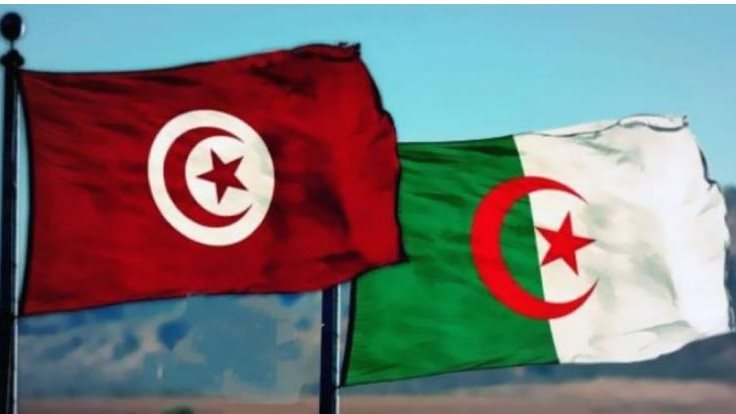 أرشيفي 