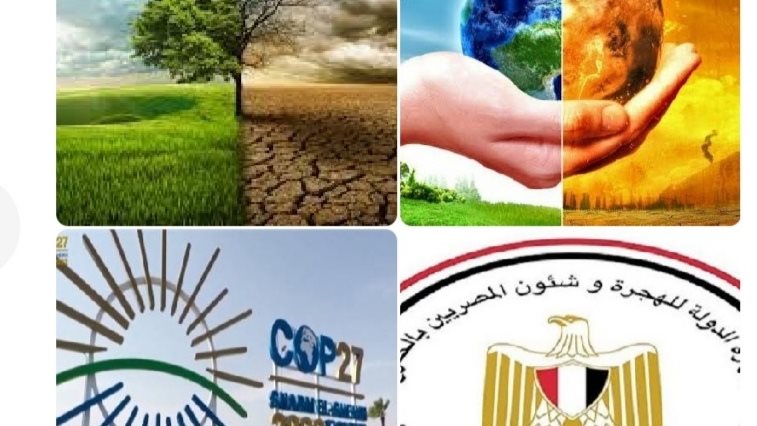 اخبار التوك شو 