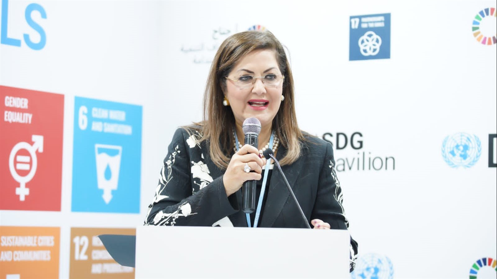 وزيرة التخطيط