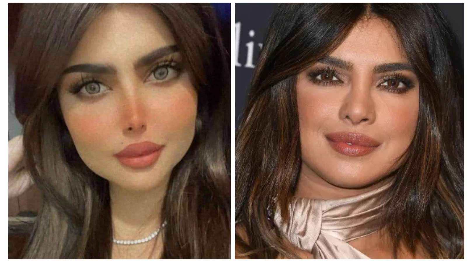 بريانكا تشوبرا وحنان بلال