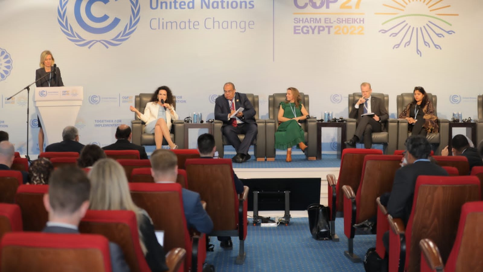 الدكتور محمود محي الدين 